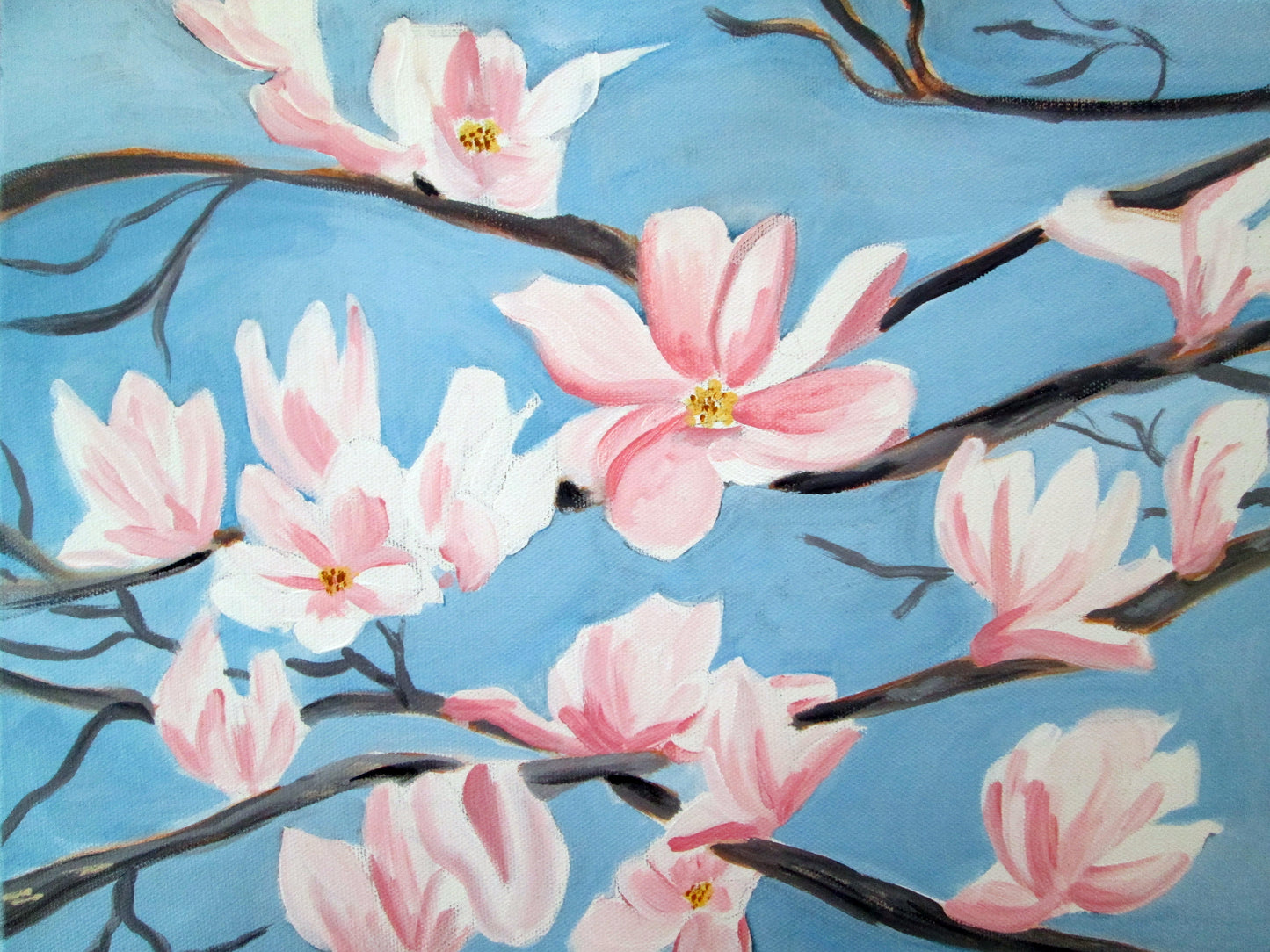 Magnolias in the Spring