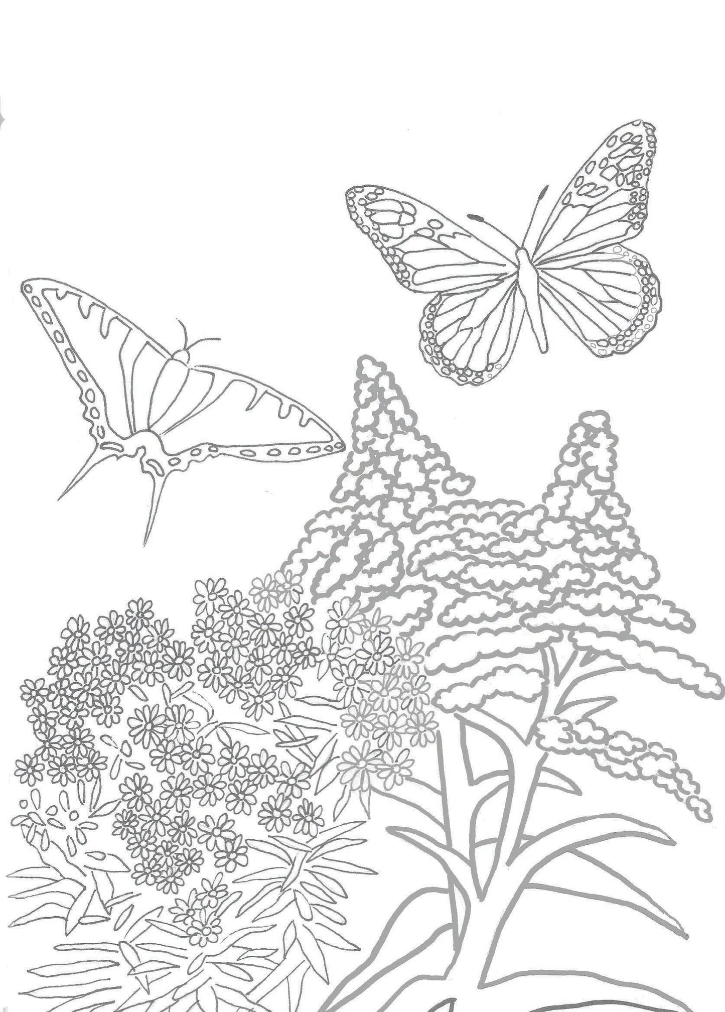 Printable Coloring Pages