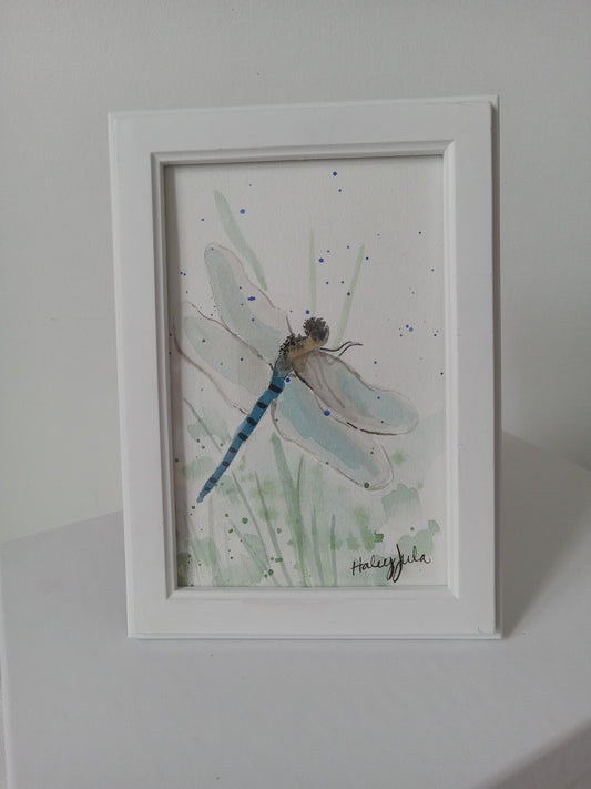 Blue Dragonfly